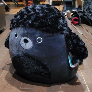 Jettward the black poodle squishmallow 14in nwt